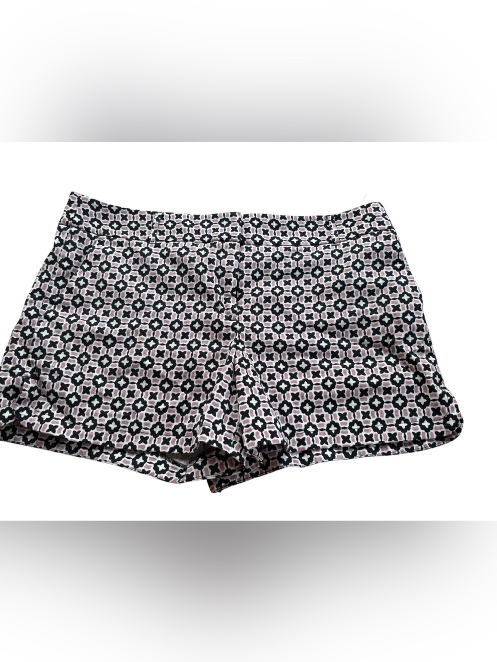 Loft shorts